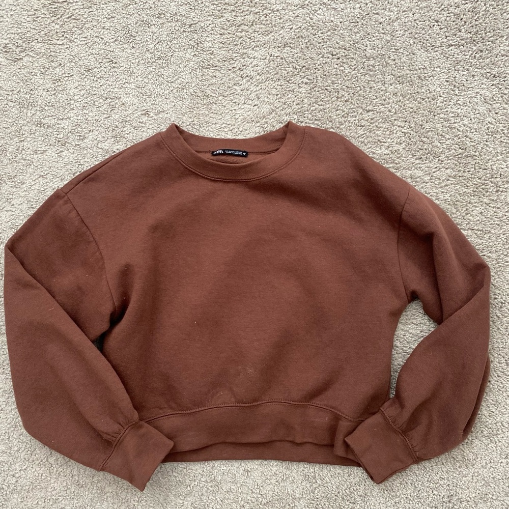Zara Chocolate Brown Cropped Crewneck Sweatshirt